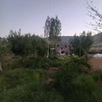 باغ فروشی ـ  روستای ویهج|فروش زمین و ملک کلنگی|قروه, |دیوار