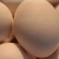 تخم مرغ محلی