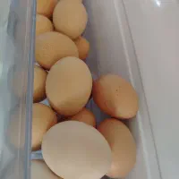 تخم مرغ محلی