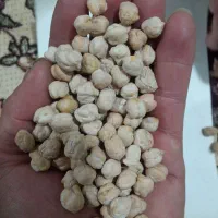 نخود|عمدهفروشی|دورود, |دیوار