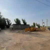 زمین گلخانه سردخانه|فروش دفتر صنعتی، کشاورزی، تجاری|عنبرآباد, |دیوار