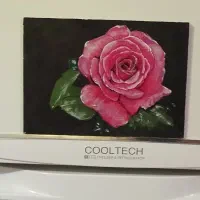 نقاشی گل رز