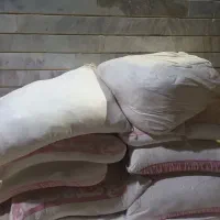 چند تا گچ صدف ۷تا ویکی دونه گچ الاهلی باقیمت