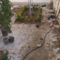 چمنکاری.کوددهی هرس گلکاری جابجای بیل زدن|خدمات باغبانی و درختکاری|پردیس, فاز ۱۱|دیوار