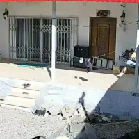 دوربین دید در شب رنگی|دوربین مداربسته|قائن, |دیوار