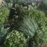 سبزی فروشی اردبیل|حراج|تالش, هشتپر|دیوار