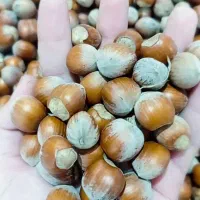 دختر روستایی|عمده‌فروشی|طارم, |دیوار