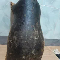 هیزه بزرگ|ظروف نگهدارنده، پلاستیکی، یک‌بارمصرف|اسلام‌‌آباد غرب, |دیوار