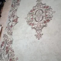 دوعدد فرش ۶متری|فرش|رشت, فلسطین|دیوار