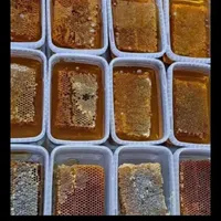 عسل گون|خوردنی و آشامیدنی|اصفهان, عمان سامانی|دیوار