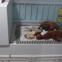 تخت کودک ونوجوان باتشکر طبی