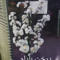 گل سرای بهشت.  آخر مولوی جنوبی نبش شبنم|گل مصنوعی|نجف‌آباد, باغ نو|دیوار