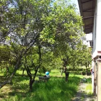 خونه باغ زیبا|فروش خانه و ویلا|ارطه, |دیوار