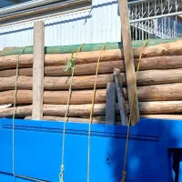 خریدار چوب تر و خشک