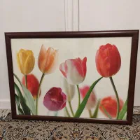 تابلو عکس قاب شده|تابلو، نقاشی، عکس|تهران, شهرک فرهنگیان|دیوار