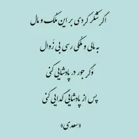 شاعر و غزل سرا