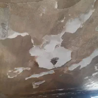 نقاش هستم، رنگ آمیزی میکنم بهترین کیفیت