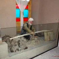 یک کیسه پشم گوسفند رایگان