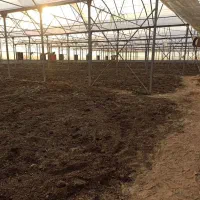 ۲۱۰۰۰متر چهاردیواری۷۰۰۰مترگلخونه هیدروپونیک کهریزک|فروش دفتر صنعتی، کشاورزی، تجاری|کهریزک, |دیوار