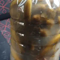 خیارشور ویژه