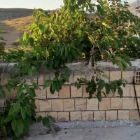 خونه-طبقه-بالا-100-متر