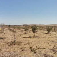 زمین باغی ۱۷۸۰مترسند تک برگ قزوین