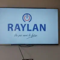 تلوزیون