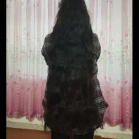 مو با قیمت میلیونی