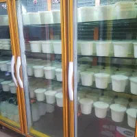 فروشنده لبنیاتی