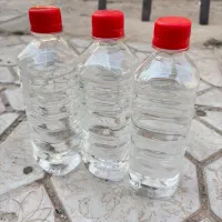 لیوان کاغذی سیب، سلفون،الکل صنعتی|عمده‌فروشی|تربت جام, والفجر|دیوار