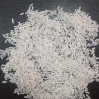 برنج علی کاظمی