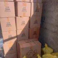 لیوان کاغذی