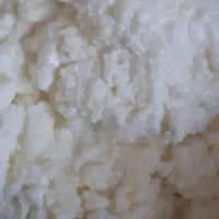 قارچ کفیر با کیفیت ...ودوغ کفیر با شیر محلی
