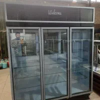 یخچال ایستاده قاب درب نقره ای