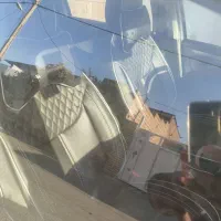 تارا 1403 شش سرعته خشک|خودرو سواری و وانت|کرمان, |دیوار