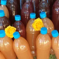 سرکه سیب|خوردنی و آشامیدنی|محلات, |دیوار