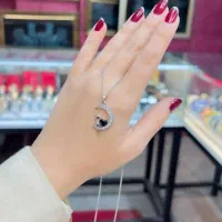 آویز های استیل رنگ ثابت مینیمال|بدلیجات|نیشابور, دارایی|دیوار