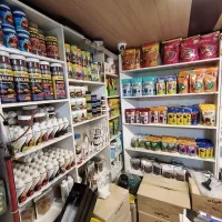 غذای ماهی آب شیرین