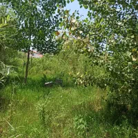 مشارکت زمین مسکونی ۳۲۵ متر خ امام محمودآباد|مشارکت در ساخت املاک|محمودآباد, |دیوار