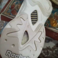 کتونی اورجینال|کیف، کفش، کمربند|قنوات, |دیوار