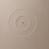 گچکار نقاش ساختمان