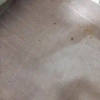 ۴عدد موکت