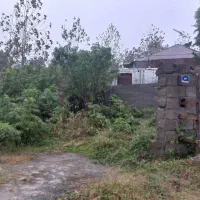 فروش ۳۰۰ متر با پروانه ساخت ۱۰۰م روستای جنبه سرا|فروش زمین و ملک کلنگی|پره‌سر, |دیوار