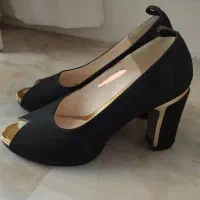 کفش مجلسی
