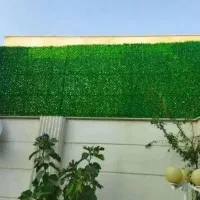 فنس چمنی. دیوار پوش