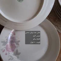 ظروف چینی و میوه خوری|ظروف سرو و پذیرایی|اصفهان, وحید|دیوار
