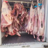 گوشت تنظیم بازار|عمده‌فروشی|سبزوار, جهاد کشاورزی|دیوار