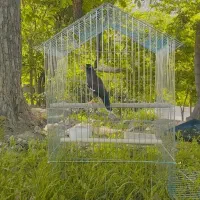 قفس کاسکو بزرگ استیل