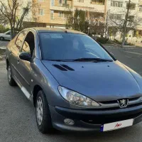 206 اس دی، تیپ 5 ار یان