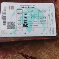 راننده.پا.دو